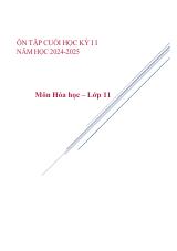 Đề cương ôn tập Học kì 2 Hóa học 11 năm 2024–2025 trường THPT chuyên Lương Văn Chánh (Đắk Lắk)